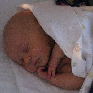 Meet your Posher, Debbie